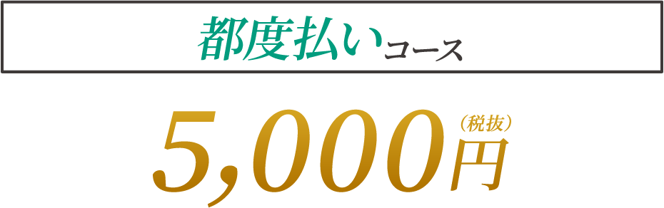 都度払いコース 5,000円(税抜)